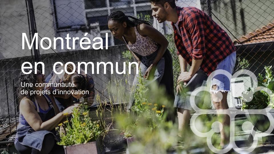 Webinaires Montréal en commun : Apprentissages sur l’expérimentation réglementaire en faveur de la transition écologique